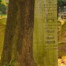 Cmentarz żydowski w Bochni Jewish cemetery in Bochnia -- 108