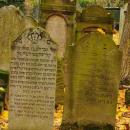 Cmentarz żydowski w Bochni Jewish cemetery in Bochnia -- 26