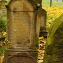 Cmentarz żydowski w Bochni Jewish cemetery in Bochnia -- 44