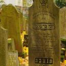 Cmentarz żydowski w Bochni Jewish cemetery in Bochnia -- 27