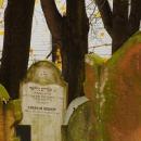 Cmentarz żydowski w Bochni Jewish cemetery in Bochnia -- 151