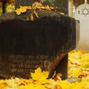 Cmentarz żydowski w Bochni Jewish cemetery in Bochnia -- 13
