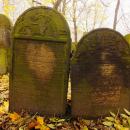 Cmentarz żydowski w Bochni Jewish cemetery in Bochnia -- 39