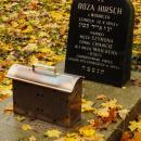 Cmentarz żydowski w Bochni Jewish cemetery in Bochnia -- 20