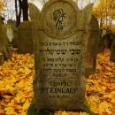 Cmentarz żydowski w Bochni Jewish cemetery in Bochnia -- 124