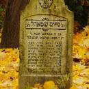 Cmentarz żydowski w Bochni Jewish cemetery in Bochnia -- 93