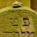 Cmentarz żydowski w Bochni Jewish cemetery in Bochnia -- 136
