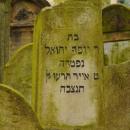 Cmentarz żydowski w Bochni Jewish cemetery in Bochnia -- 113