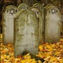 Cmentarz żydowski w Bochni Jewish cemetery in Bochnia -- 145