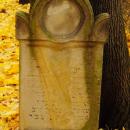 Cmentarz żydowski w Bochni Jewish cemetery in Bochnia -- 56