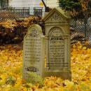 Cmentarz żydowski w Bochni Jewish cemetery in Bochnia -- 150