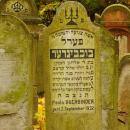 Cmentarz żydowski w Bochni Jewish cemetery in Bochnia -- 23