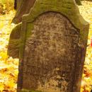 Cmentarz żydowski w Bochni Jewish cemetery in Bochnia -- 54
