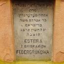 Cmentarz żydowski w Bochni Jewish cemetery in Bochnia -- 35