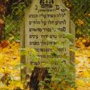 Cmentarz żydowski w Bochni Jewish cemetery in Bochnia - 2