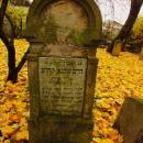 Cmentarz żydowski w Bochni Jewish cemetery in Bochnia -- 77