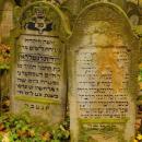 Cmentarz żydowski w Bochni Jewish cemetery in Bochnia -- 30