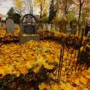 Cmentarz żydowski w Bochni Jewish cemetery in Bochnia -- 144