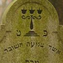Cmentarz żydowski w Bochni Jewish cemetery in Bochnia -- 48