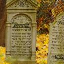 Cmentarz żydowski w Bochni Jewish cemetery in Bochnia - 3