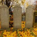 Cmentarz żydowski w Bochni Jewish cemetery in Bochnia -- 147