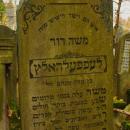 Cmentarz żydowski w Bochni Jewish cemetery in Bochnia -- 34