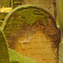 Cmentarz żydowski w Bochni Jewish cemetery in Bochnia -- 138