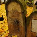 Cmentarz żydowski w Bochni Jewish cemetery in Bochnia -- 68
