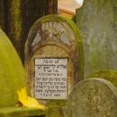 Cmentarz żydowski w Bochni Jewish cemetery in Bochnia -- 116