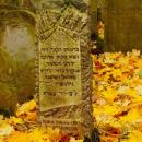 Cmentarz żydowski w Bochni Jewish cemetery in Bochnia -- 115
