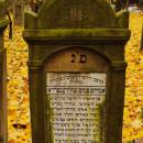 Cmentarz żydowski w Bochni Jewish cemetery in Bochnia -- 95