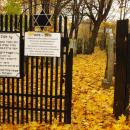 Cmentarz żydowski w Bochni Jewish cemetery in Bochnia -- 5
