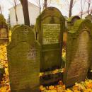 Cmentarz żydowski w Bochni Jewish cemetery in Bochnia -- 134