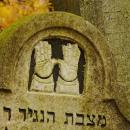 Cmentarz żydowski w Bochni Jewish cemetery in Bochnia -- 122
