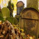 Cmentarz żydowski w Bochni Jewish cemetery in Bochnia -- 45