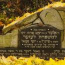 Cmentarz żydowski w Bochni Jewish cemetery in Bochnia -- 14