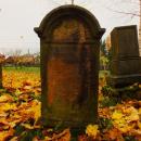 Cmentarz żydowski w Bochni Jewish cemetery in Bochnia -- 61